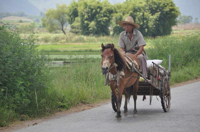 Guangxi 2009-8 250